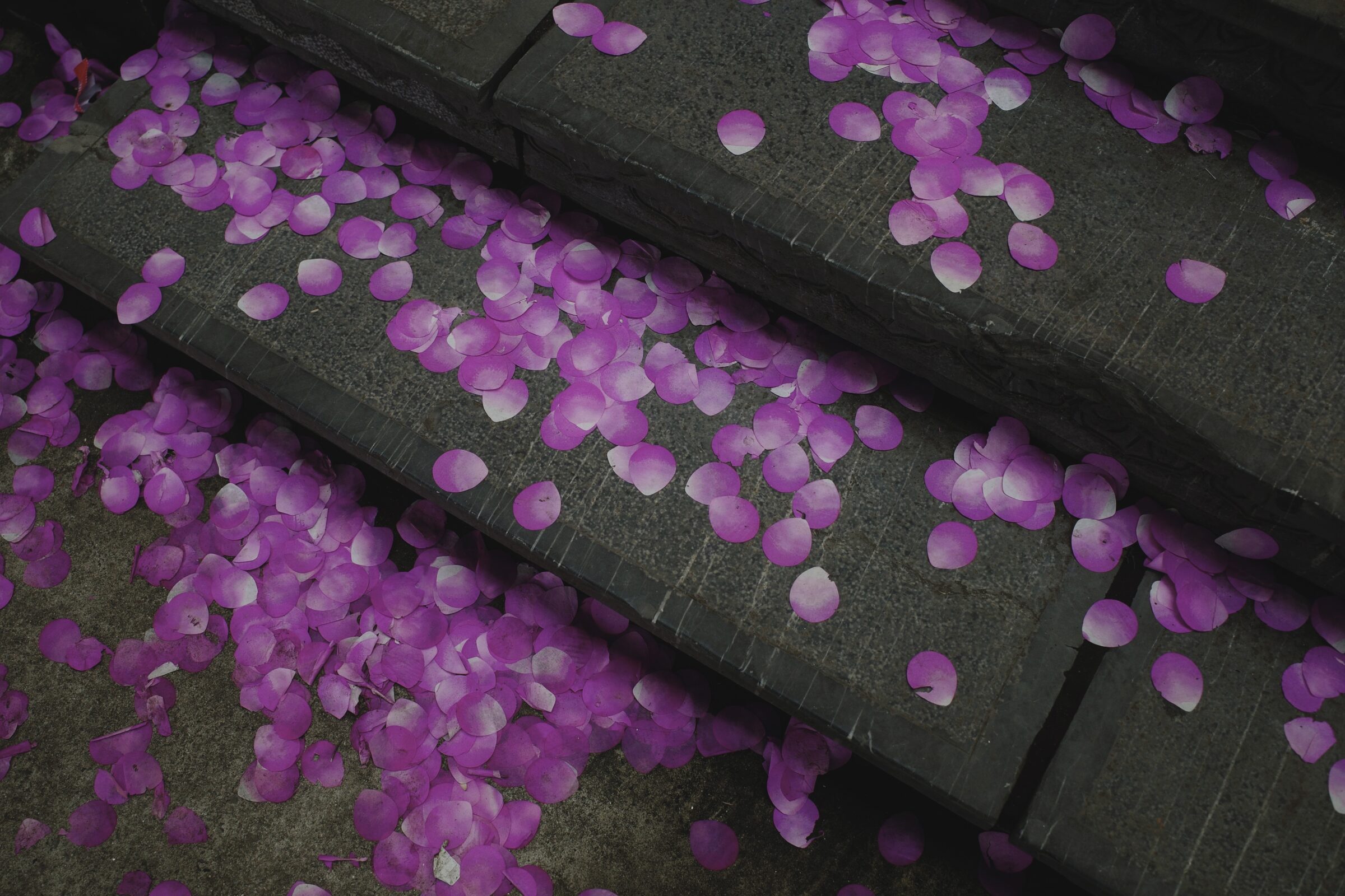 Processed with VSCO with 4 preset