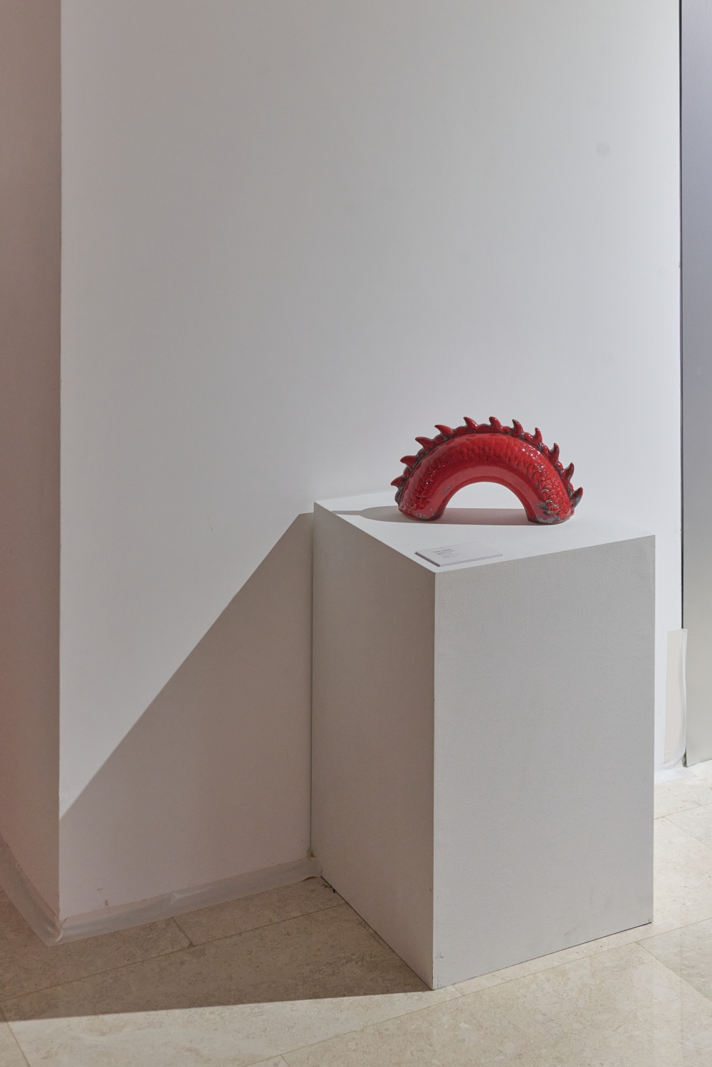 BTMJ - LAI_0891